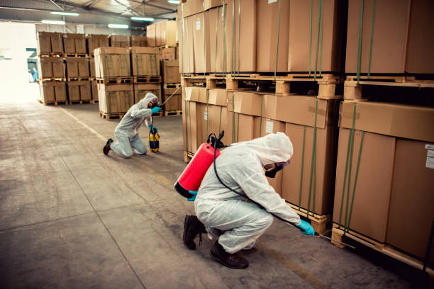 Best Ant Control Services  in Marlborough, MO