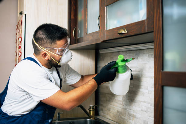Pest Control Cost in Marlborough, MO