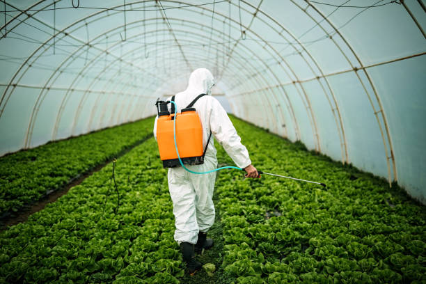 Best Residential Pest Control  in Marlborough, MO