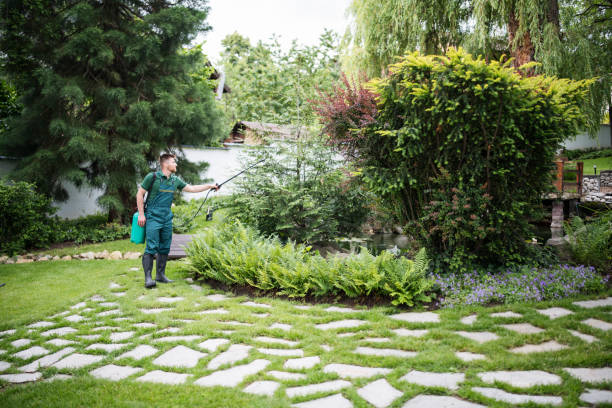 Best Mosquito Control Services  in Marlborough, MO