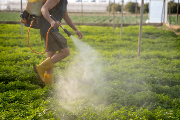 Best Pest Control for Homes  in Marlborough, MO