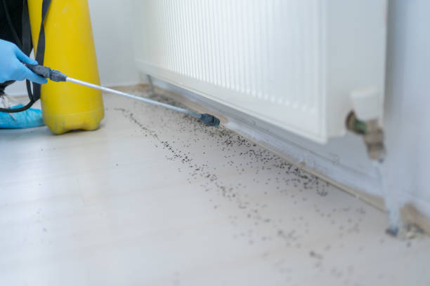  Marlborough, MO Pest Control Pros